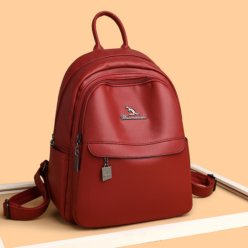 2024 New Women's Shoulder Bag  - Luxury Tote Bags With Zipper のレビューと価格